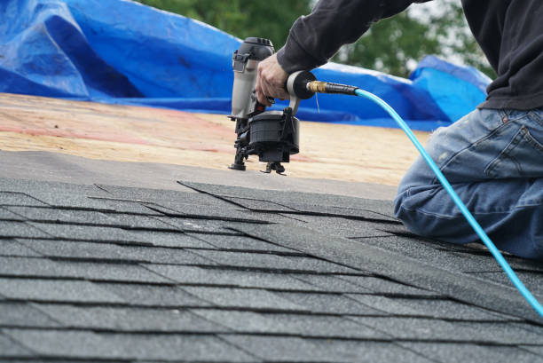 Steel Roofing in Hazel Crest, IL