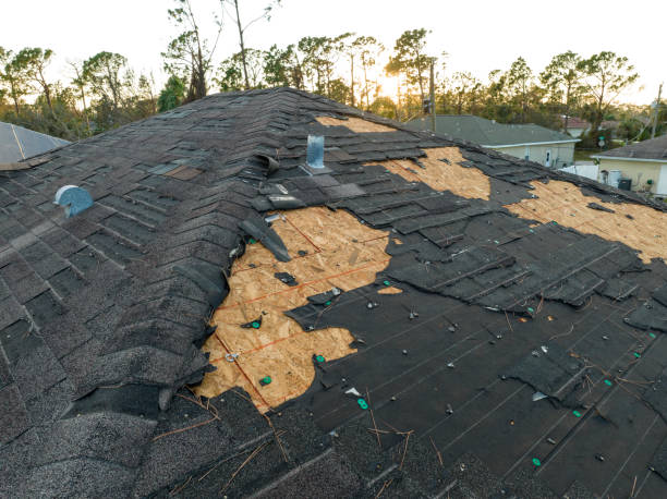 Best Metal Roofing Installation  in Hazel Crest, IL